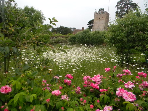 Flowers with tower Greys Court Garden. Shiplake to Henley