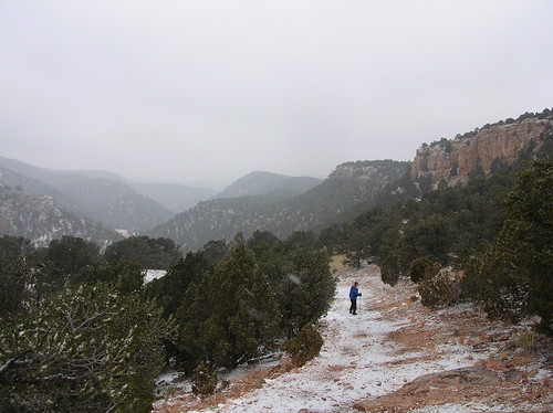 winter hiking shelfroad