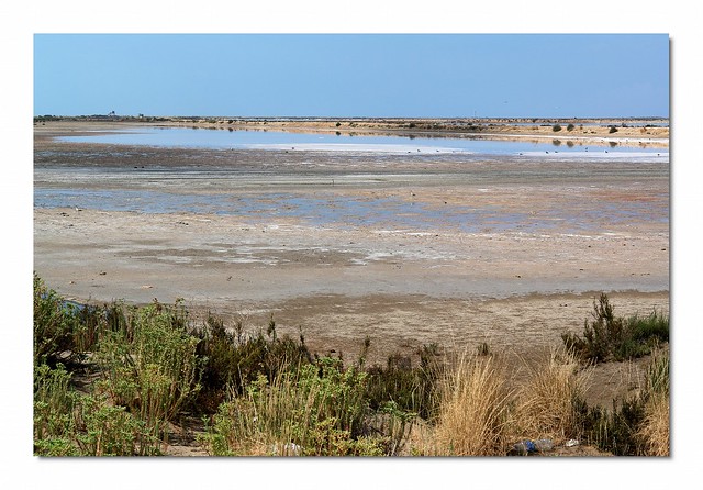 Salz im Ebrodelta