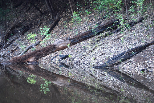 AMAZON - NEGRO RIVER | by vermillion$baby