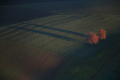 sunset shadow two tree field by germany landscape la aerial agriculture ndb 15112006 unterfroschham 5d015535 hochüberbayern2