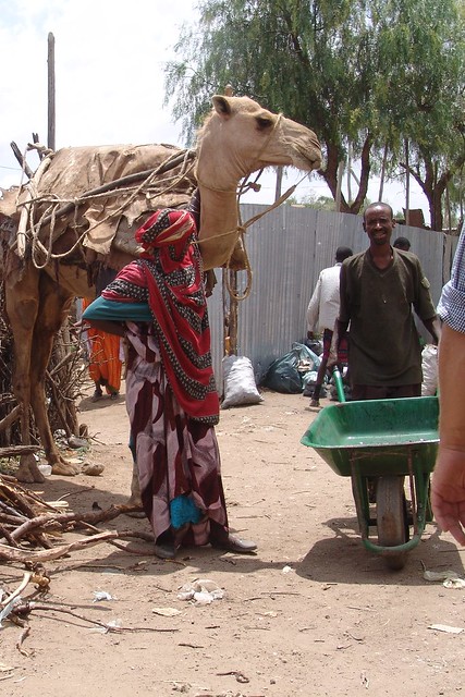 Jigjiga - camel lady and wheelbarrow man