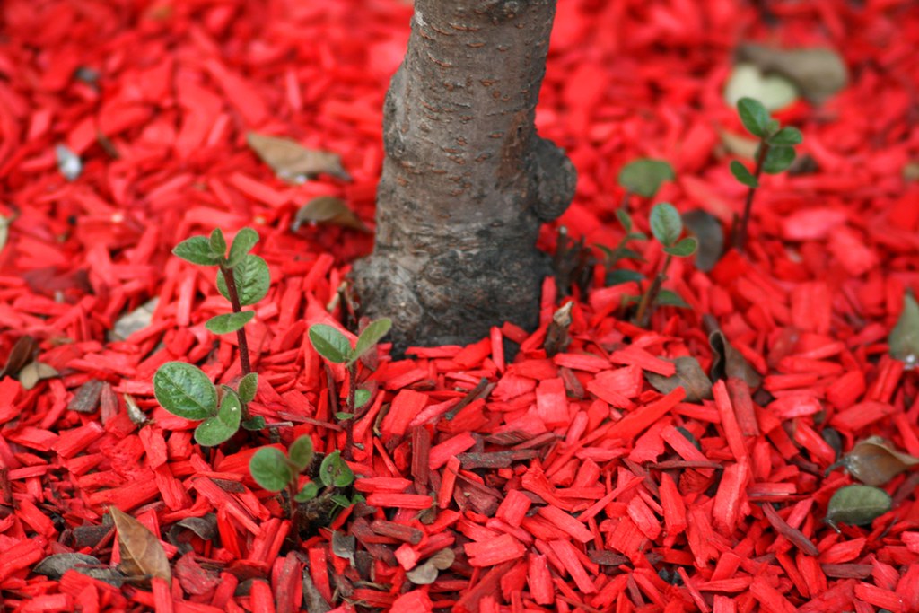Red Rolo Rouge Red Rojo Rouge | Flickr