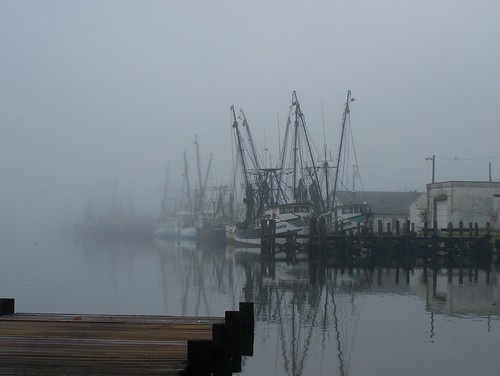 Fog at Con Brown Harbor | by sandnmyflipflops