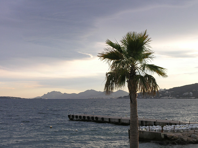 Juan-les-Pins - sea and the palm