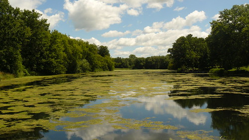Fairwater Mill Pond by fairwaterfreak, I guess I will never see the pond without all of the algea and scum.