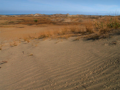 sand desert dunes ilocos barren lapaz isolated sanddunes laoag luzon ilocosnorte dryland northernluzon ilocosregion