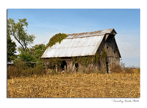 life wood autumn building fall architecture barn rural landscape nikon decay farm country rustic vine indiana weathered nikkor primative 18200mmf3556gvr countryroadsphoto