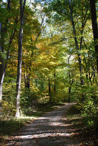 fall geotagged indiana arboretum richmond trail waynecounty waynecountyindiana hayesarboretum geo:lat=39841396 geo:lon=84847552
