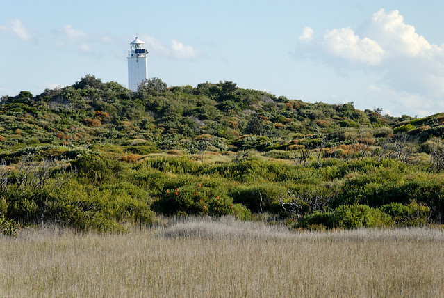 Cape Bailey Lighthouse 080516-7386