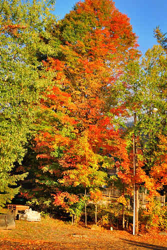 autumn ny fall us newengland fallfoliage upstatenewyork adirondack whiteface lakeplacid