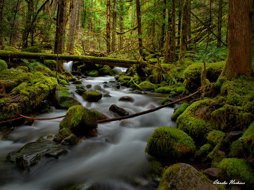 Basalt Creek by Chuck & Pat Harkins