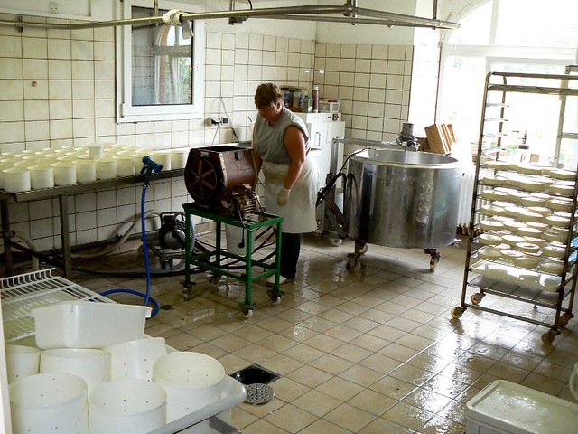 Gîte à la ferme Chez Marie-Noëlle : la fromagerie