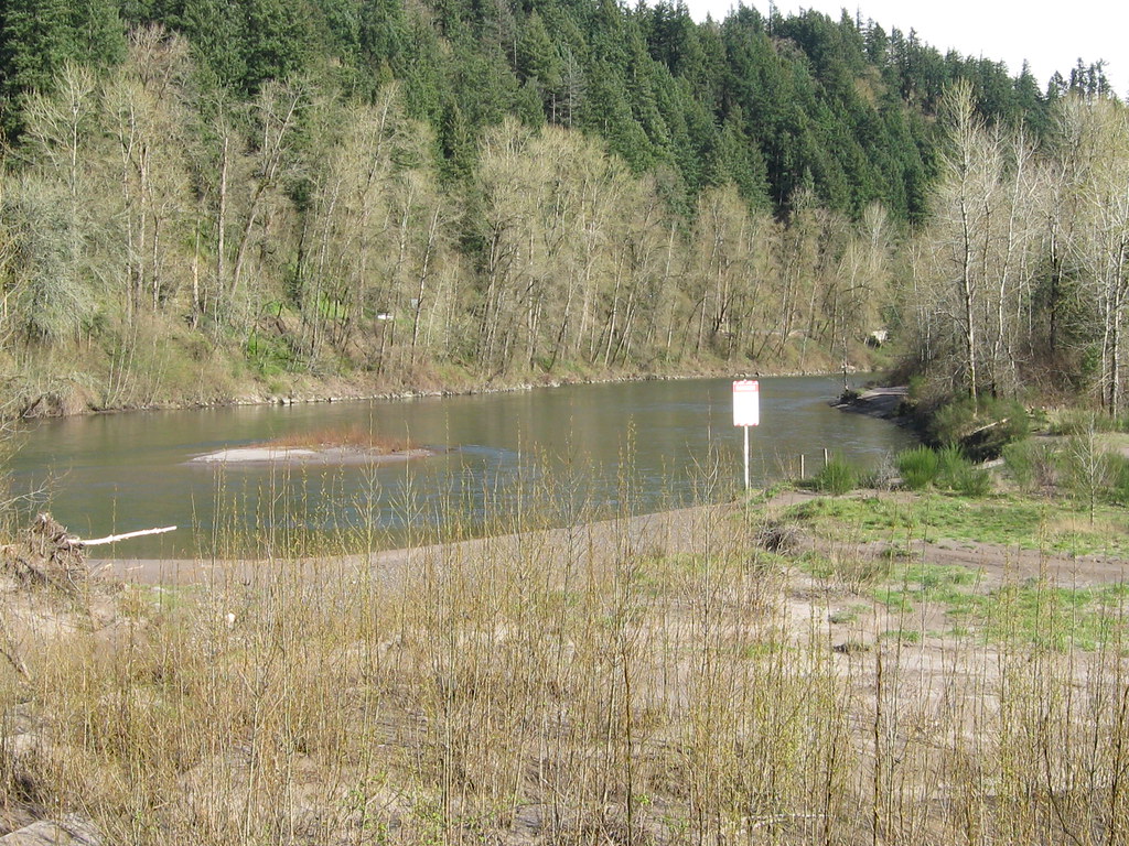 Sandy River Trail, near Wahkeena Trail – Gorge