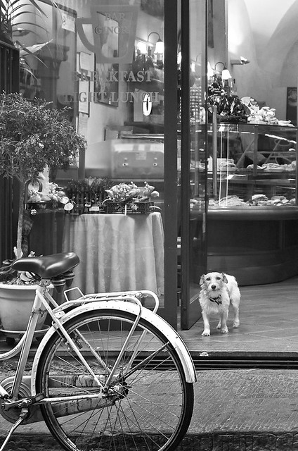 Rita Crane Photography:  Little Dog & Bicycle, Florence