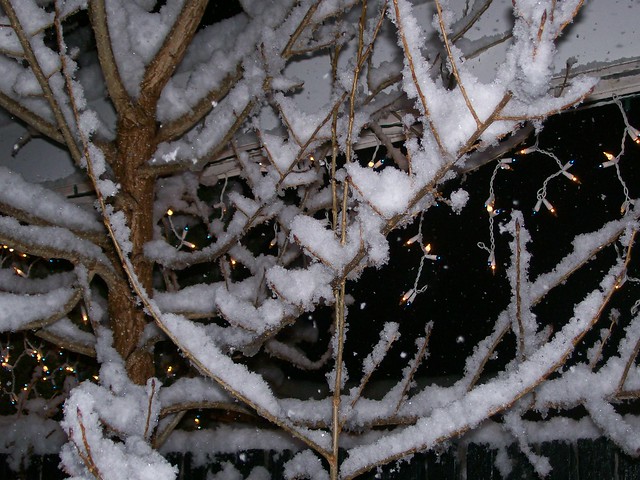 Winter Scene in Salt Lake City