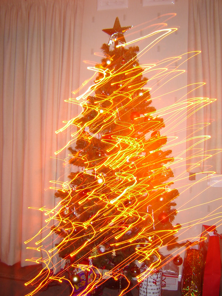 Crazy christmas trees | thosesunshinedays | Flickr