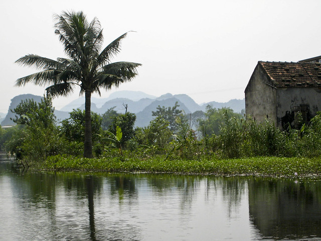 Vietnam reflections