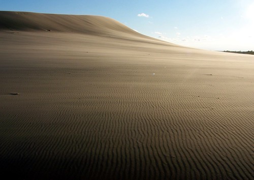 Silver Lake Sand Dunes | by megansavela