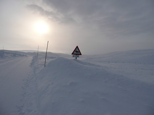 road sky cloud sun white snow norway landscape march roadsign finnmark reindeersign
