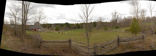 autostitch panorama ontario canada rural fence nikon farm hood alpacas alpacafarm splitrailfence farmfence lanarkcounty watsonscorners