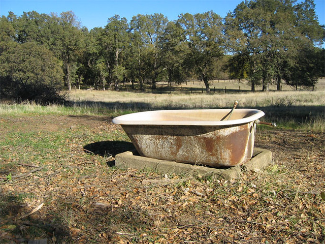 Horse trough (bathtub), Issac Mangold