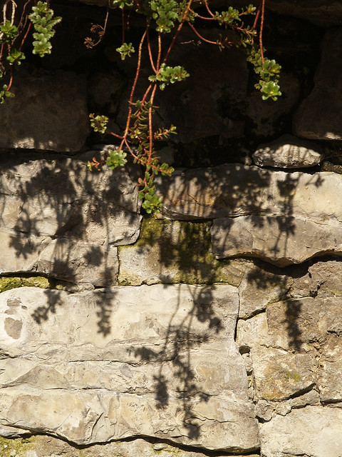 Shadows on the Wall