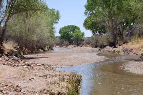 arizona river sonoran fairbank sanpedroriver cochisecounty