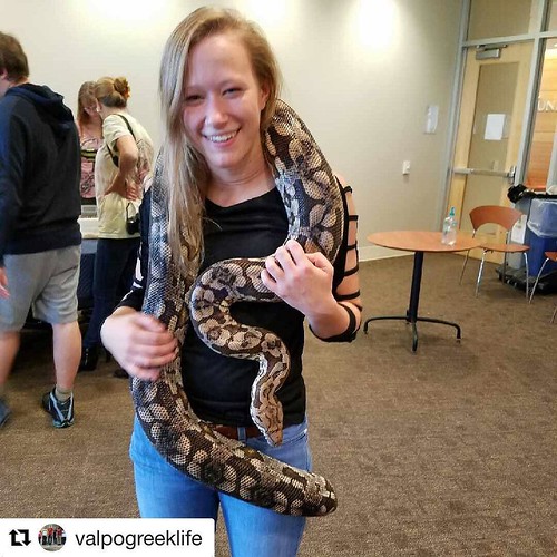 #Repost @valpogreeklife with @repostapp ・・・ Today's Scholar comes from @valpokappa Casey Main! She is a Mechanical Engineering major. "I am on the swim team, and I swim the butterfly. I also like the color blue! I hope to one day obtain my PhD in a bio-me