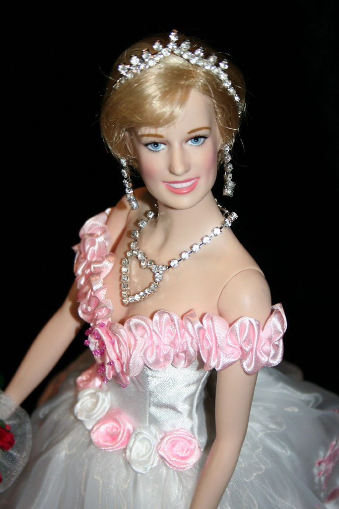 Princess Diana ~~ROSE EMBROIDERED ORGANZA~~ dress | PWAN - pretty world ...