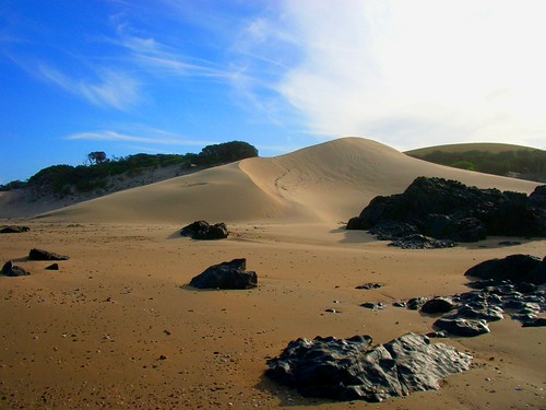 Transkei Dunes | by robbielab