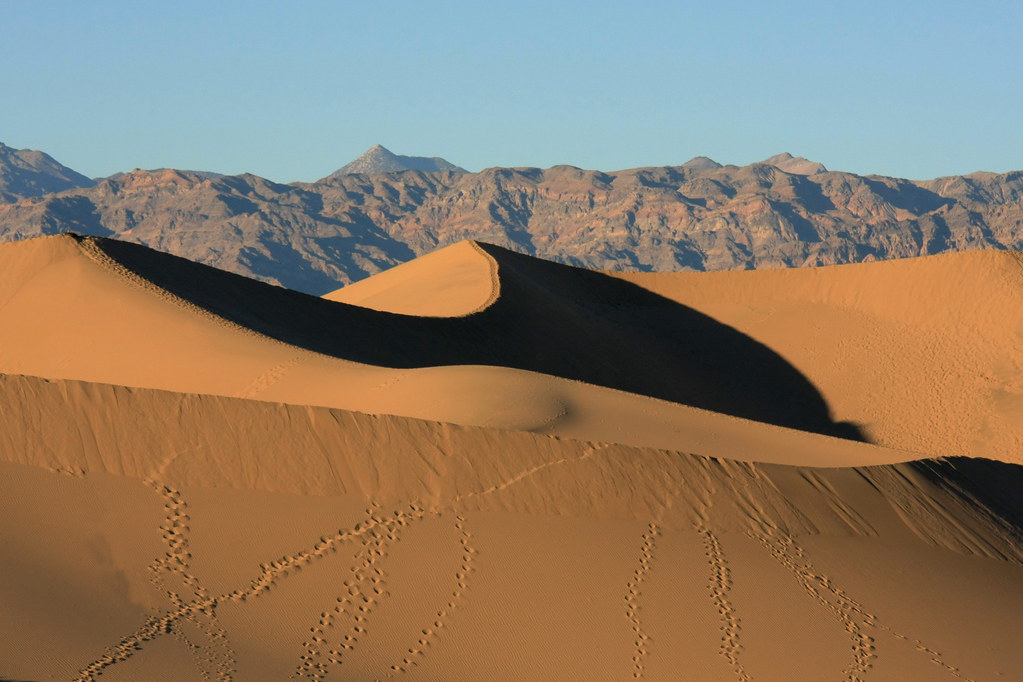 Death Valley, CA | The Mesquite Sand Dunes are at the northe… | Flickr