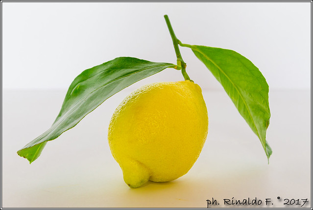 lemons@citrus