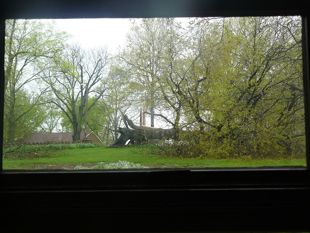 Through Our Family Room Window