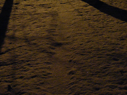 winter snow abstract west nature sparkles night outdoors virginia fuji surreal wv nighttime technorati fairmont s700 fairmontwv s5700 shuttersparks