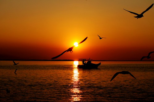 Sunset.. | by shutterbug_65