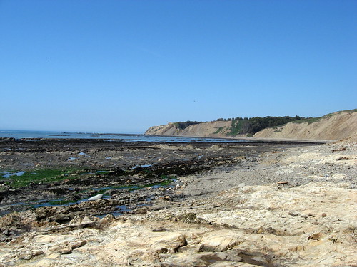 Duxbury Reef