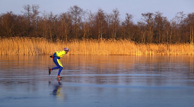 Speedskating next to the golden reed of Ankeveen