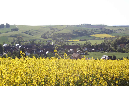 Erkeln im Mai by olliwulff, farm wheelchair raps bauernhof rollstuhl rapsfelder nethe erkeln olliwulff