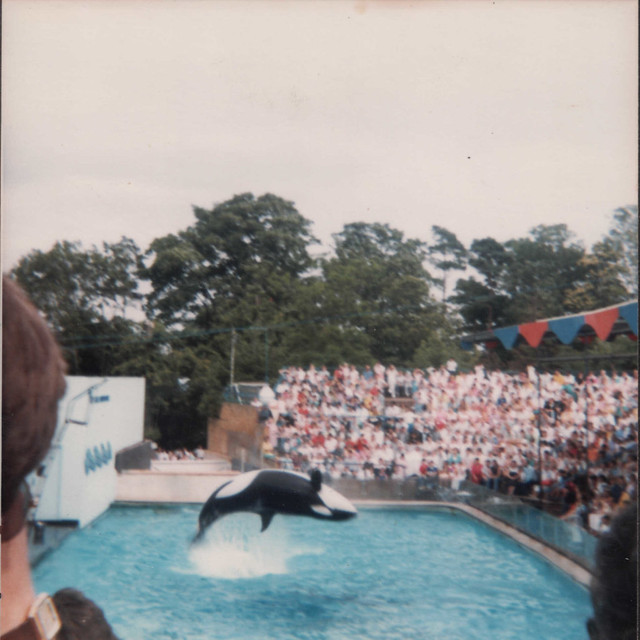Windsor Safari Park 1985