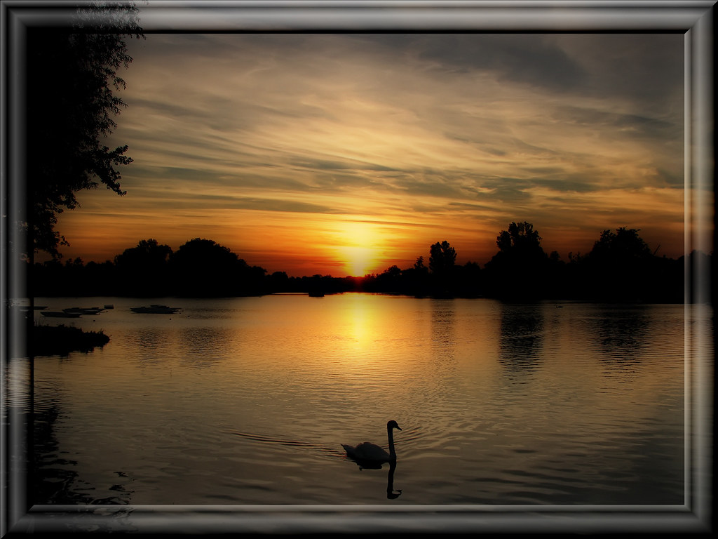 Swan Lake Sunset by slim_boydim
