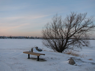 Un banc, un arbre, deux grosses roches, un fleuve de glace et de neige et l'Île de Montréal