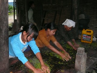 Palaung women rolling tea leaves for tea leaf salad,Hu'kwet village | by rheanna2
