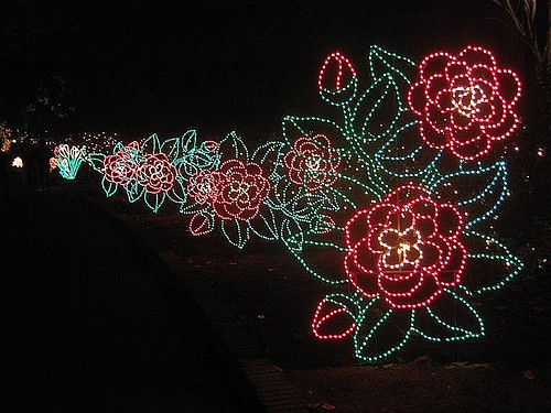 Christmas Lights at Bellingrath Gardens. Alabama. USA.Dece… | Flickr
