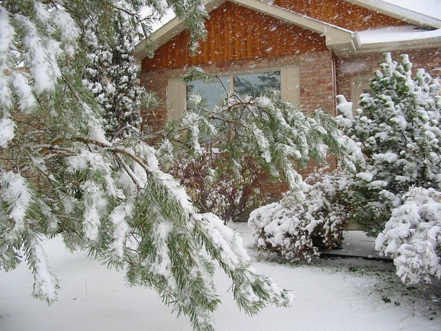 winter 2003