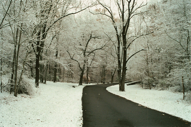 snow at Percy Warner Park - Nashville, TN