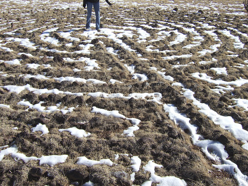 labyrnth of snow and basalt | by jared