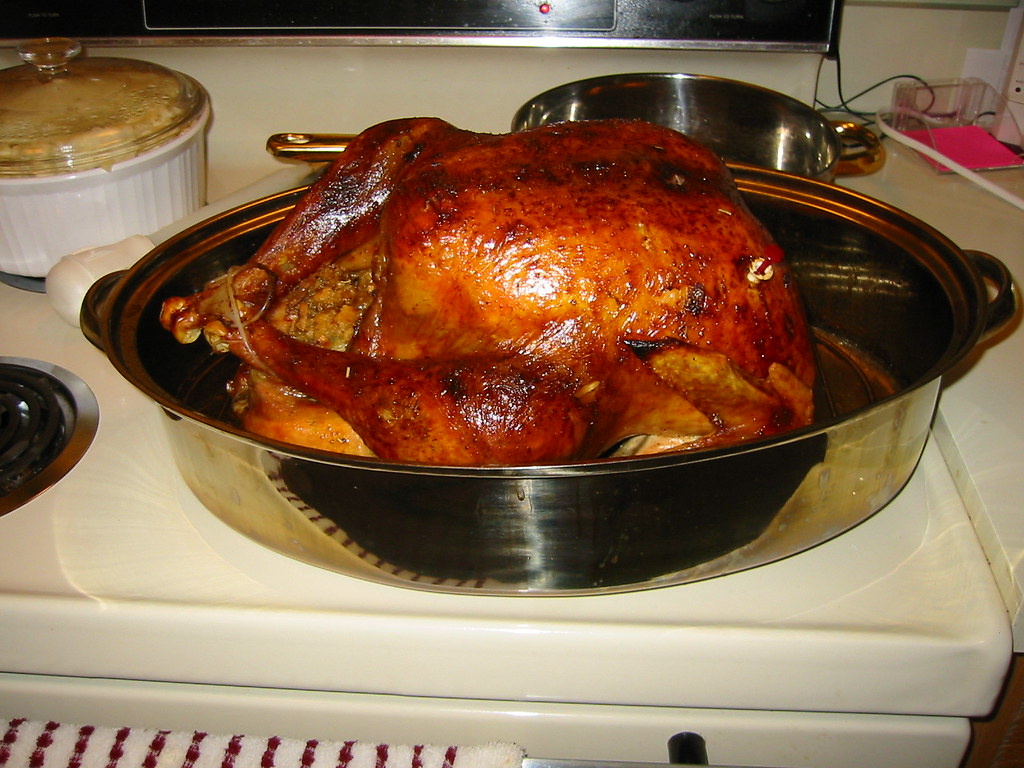 Turkey | Roasted Thanksgiving Turkey | jdolenga | Flickr