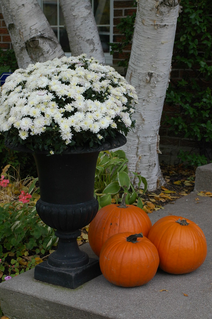 Welcome | To greet you at our home. | **Mary** | Flickr