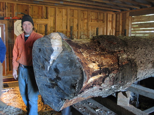 Charlie's big spruce log